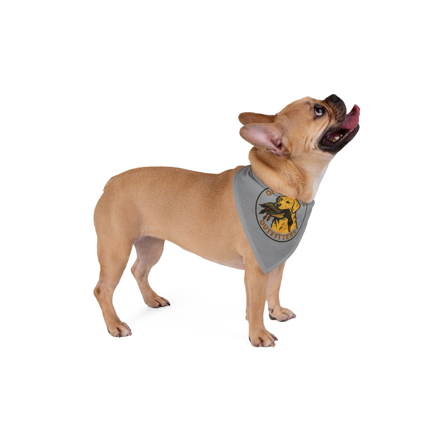 Pet Bandana for Adventurous Dogs, Cute Dog Accessory, Outdoor Pet Wear, Unique Gift, Doggie Fashion