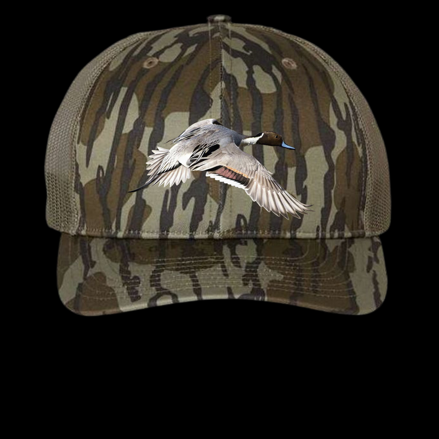 Pintail bottomland